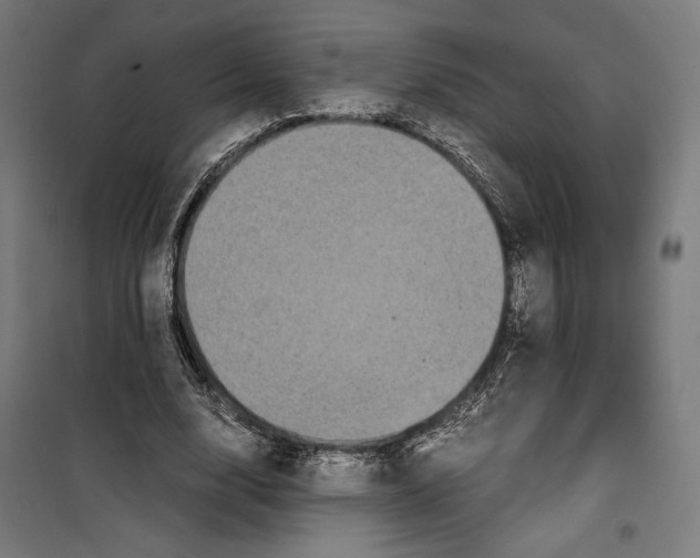 X0000099490632200806121353