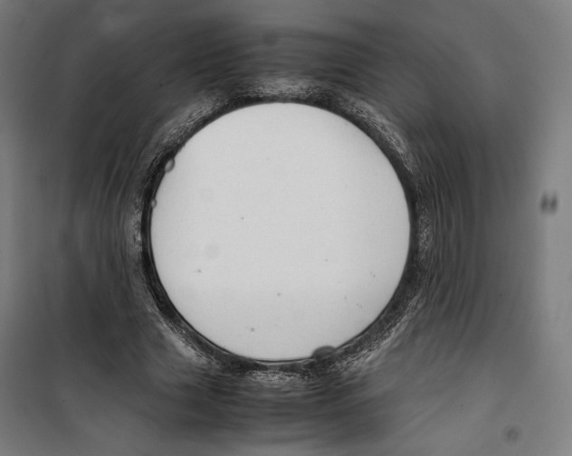 X0000099490633200806121353