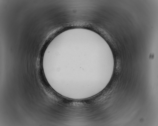 X0000099490636200806121353