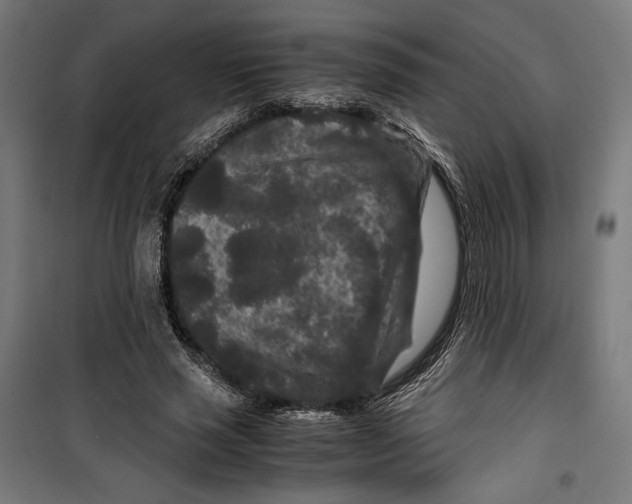 X0000099490637200806121353