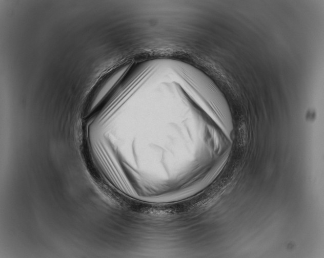 X0000099490638200806121353