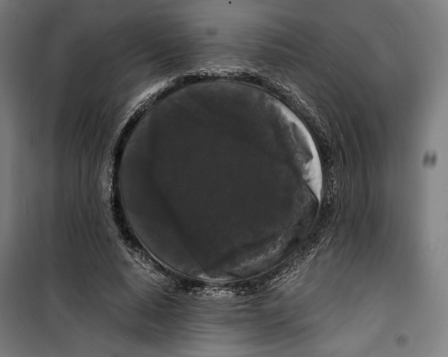 X0000099490640200806121353