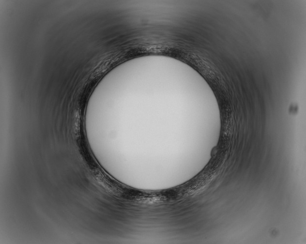 X0000099490646200806121353