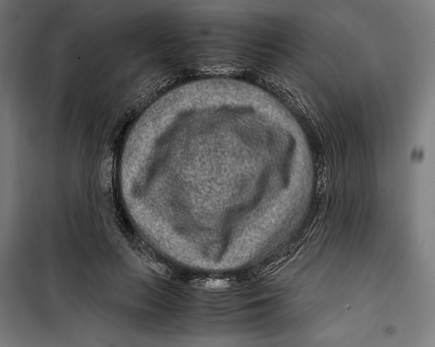 X0000099490647200806121353