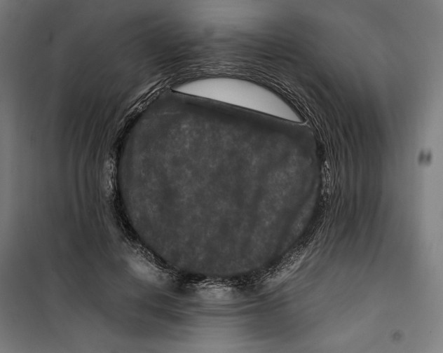 X0000099490648200806121353