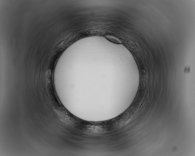 X0000099490649200806121353