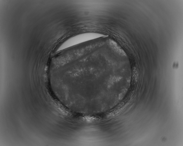 X0000099490650200806121353