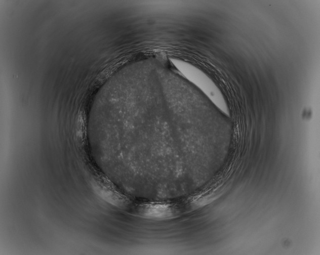 X0000099490651200806121353