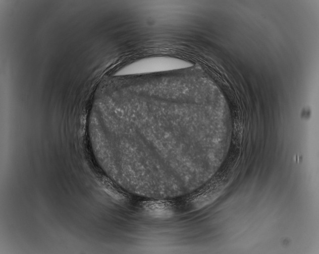 X0000099490652200806121353