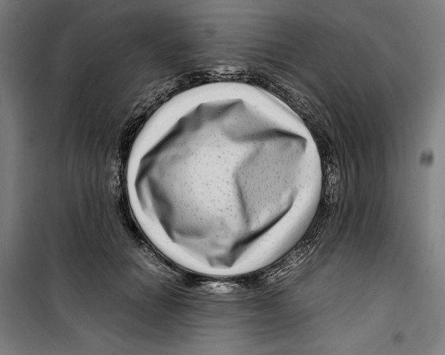 X0000099490654200806121353