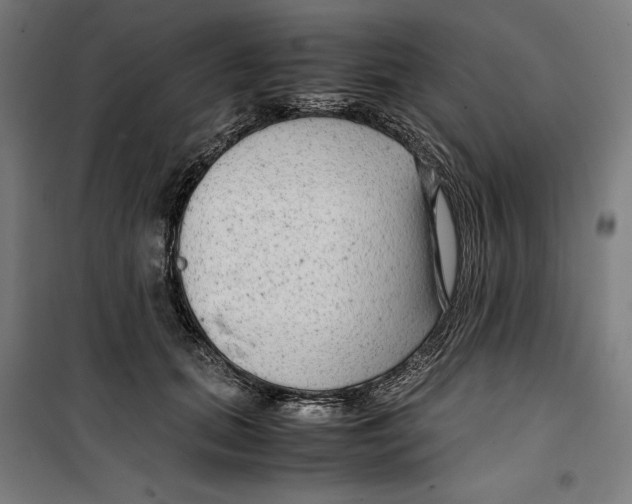 X0000099490655200806121353