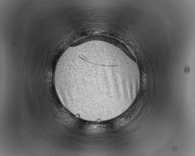 X0000099490657200806121353