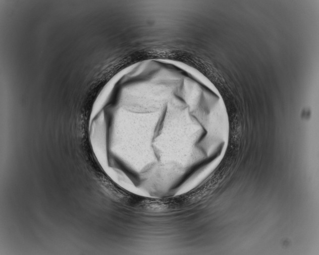 X0000099490658200806121353