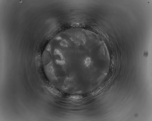 X0000099490659200806121353