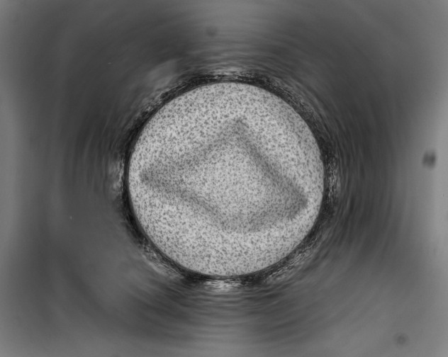 X0000099490660200806121353