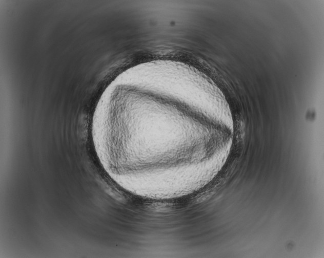 X0000099490664200806121353