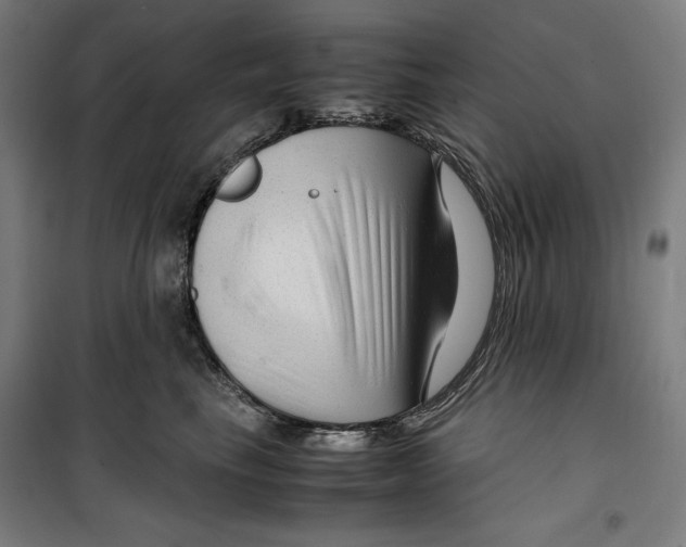 X0000099490665200806121353