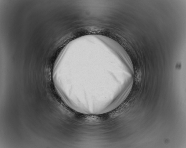 X0000099490666200806121353