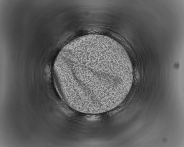 X0000099490667200806121353