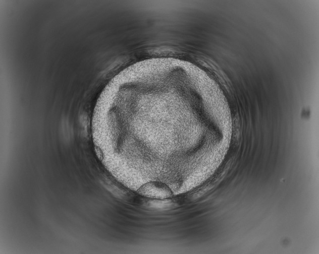 X0000099490669200806121353