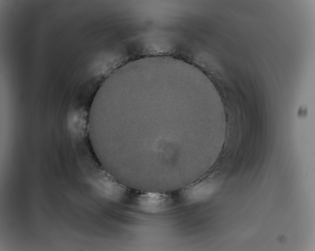 X0000099490672200806121353