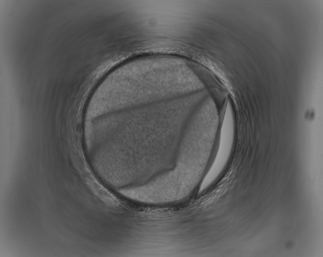 X0000099490673200806121353