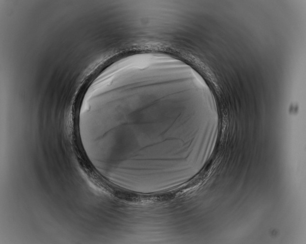 X0000099490674200806121353