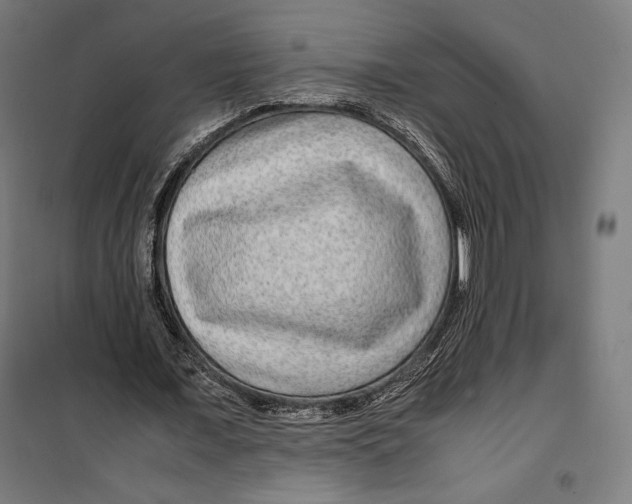 X0000099490675200806121353