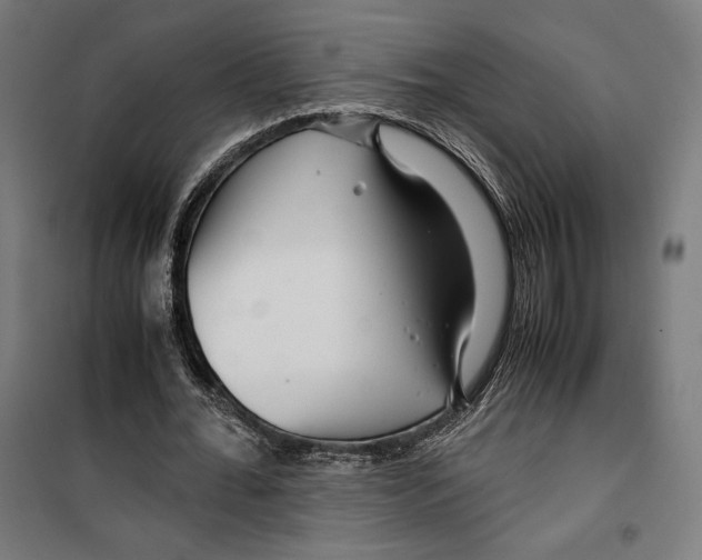 X0000099490676200806121353