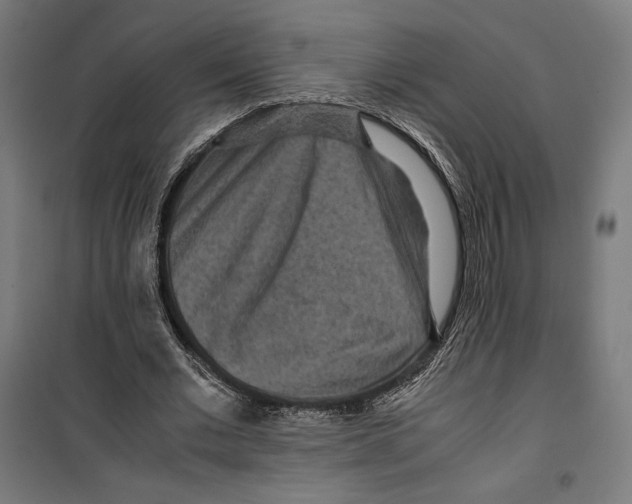 X0000099490677200806121353