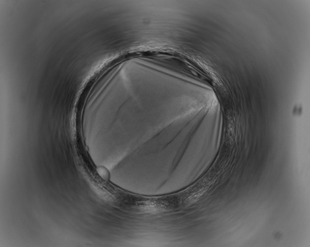 X0000099490678200806121353