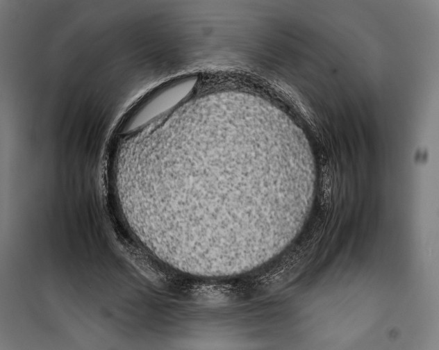 X0000099490680200806121353