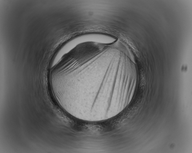 X0000099490681200806121353