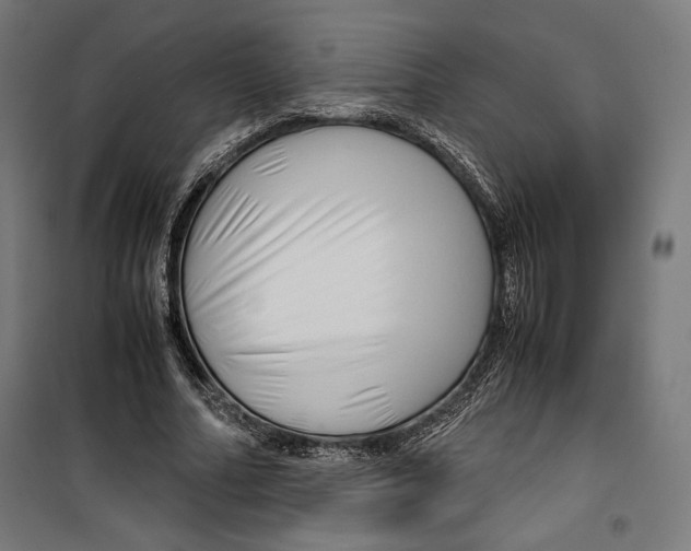 X0000099490682200806121353