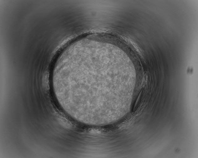 X0000099490684200806121352