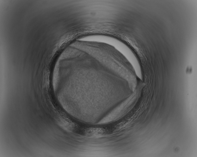 X0000099490685200806121352