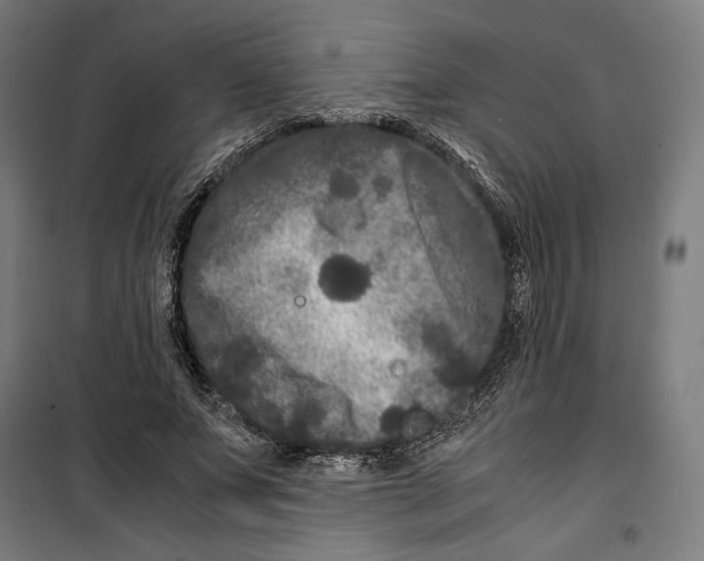 X0000099490687200806121352