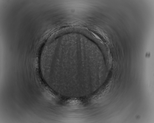 X0000099490689200806121352