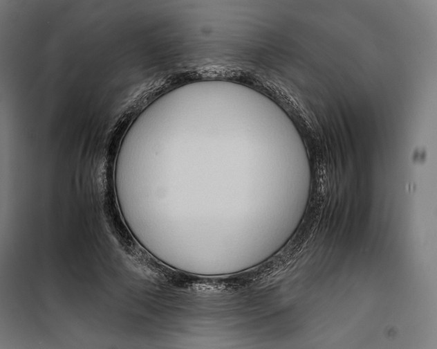 X0000099490690200806121352