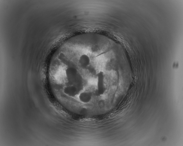 X0000099490691200806121352