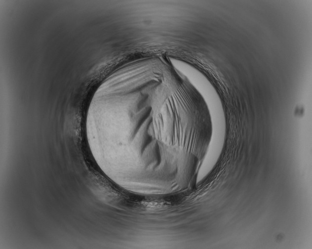 X0000099490693200806121352