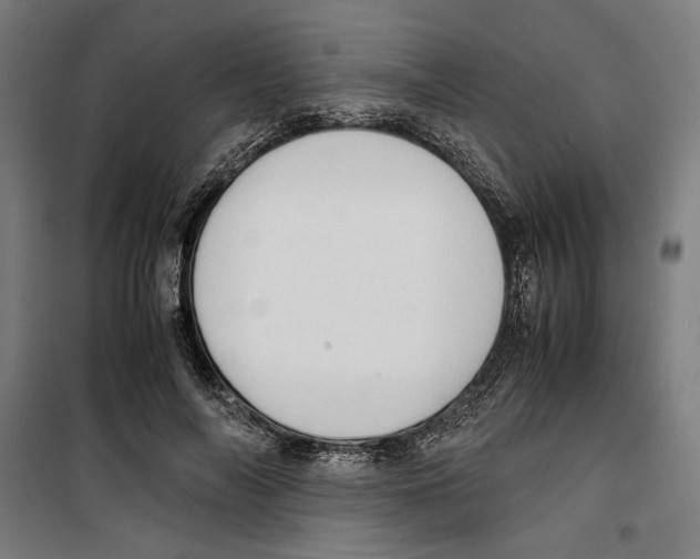 X0000099490694200806121352