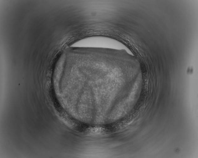 X0000099490695200806121352