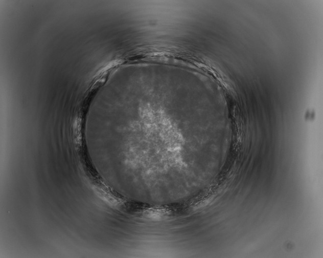 X0000099490696200806121352