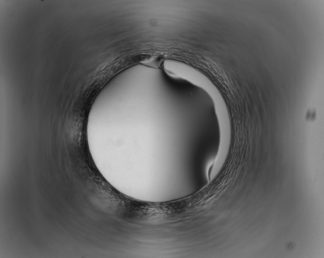 X0000099490697200806121352