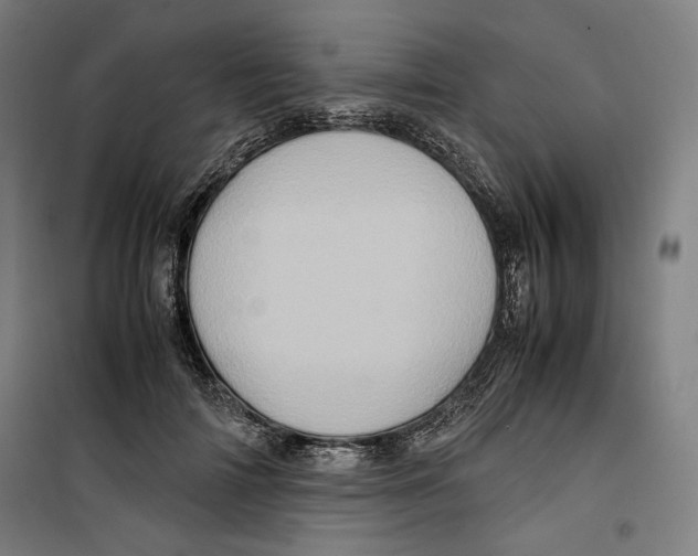 X0000099490698200806121352