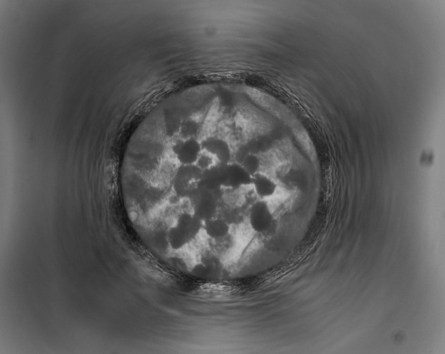 X0000099490699200806121352