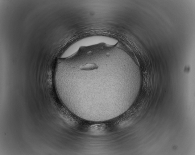 X0000099490700200806121352