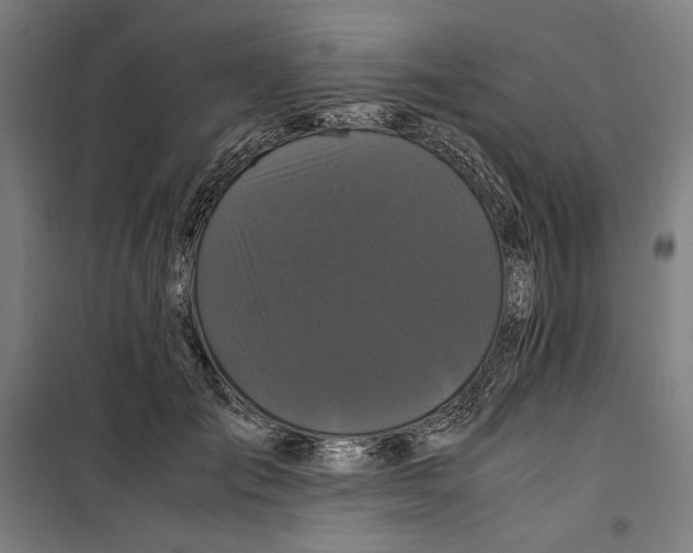 X0000099490701200806121352