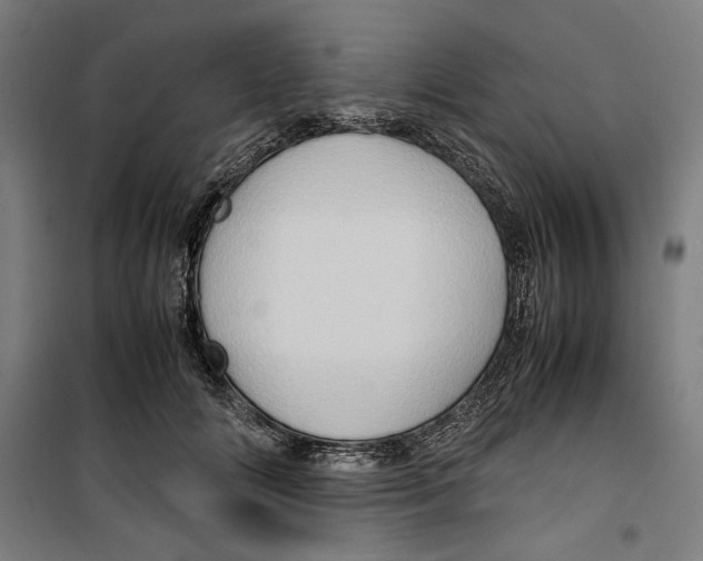 X0000099490702200806121352